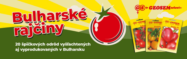 Bulharské rajčiny semená